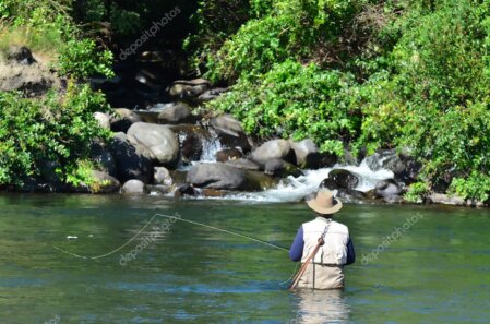 Angler making a fly cast on a clear New Zealand river