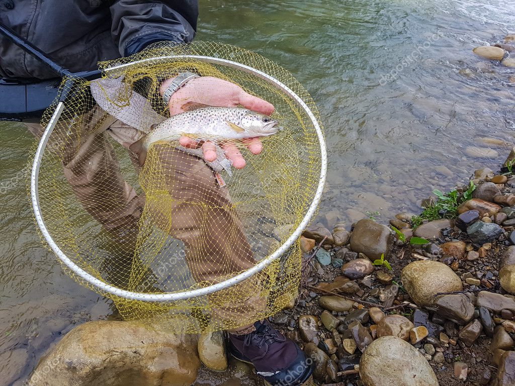 Angler fly fishing on a clear New Zealand river