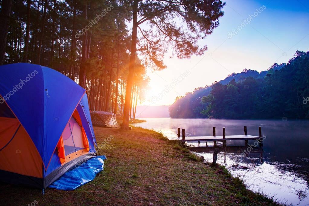 Tents set up beside a river under a starry sky