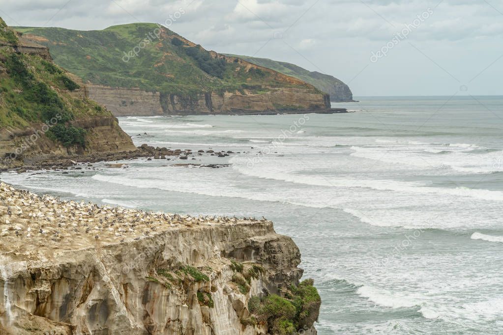 Remote New Zealand coastline with beach and cliffs seen from the air