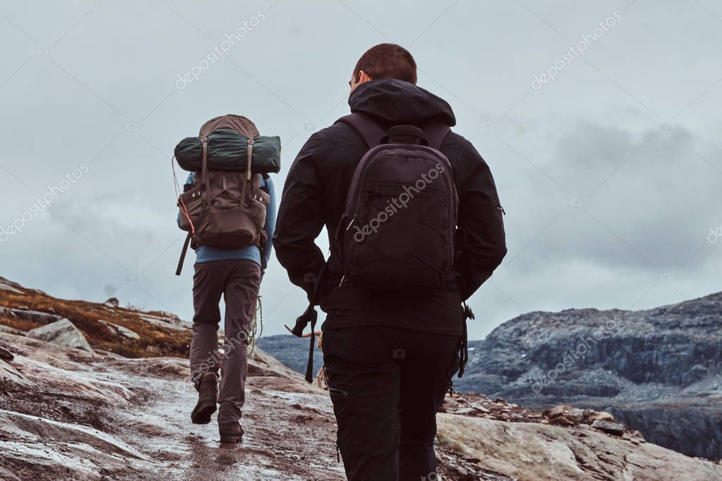 Small guided group walking in alpine landscape