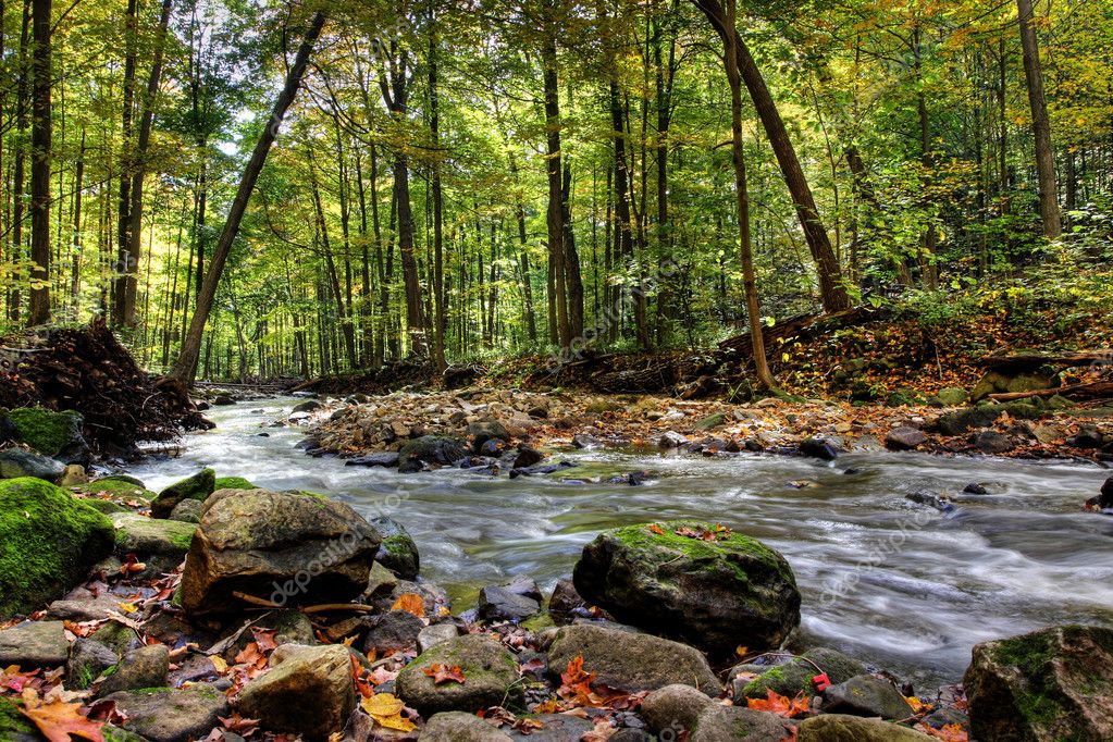 Waterfall tumbling into a clear river pool surrounded by forest