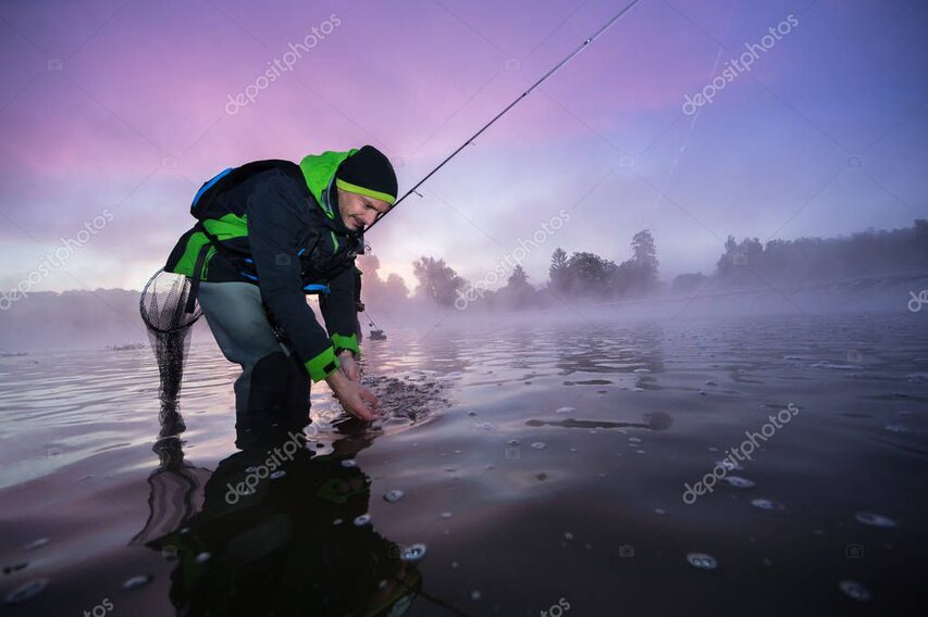 Close-up of a wild brown trout being gently released back into the water.