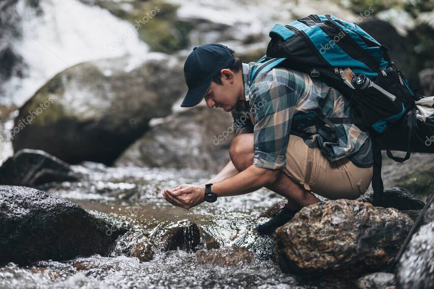 Guest walking through native beech forest beside a clear stream.